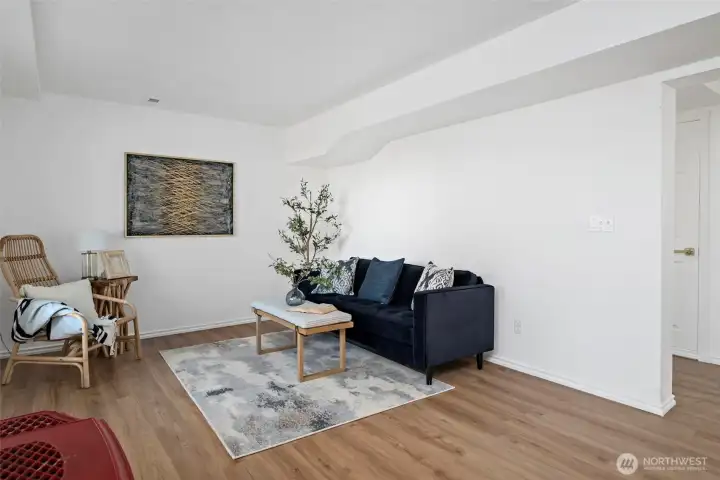Downstairs family room
