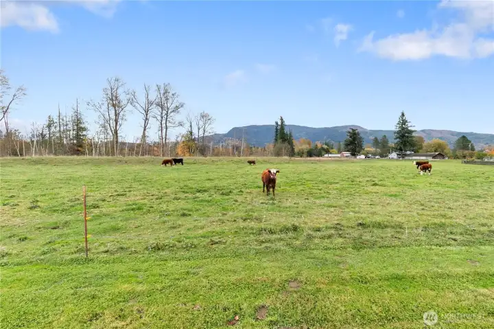 As you stand there turn around and see the uninterrupted view of the countryside and Sumas mountain.