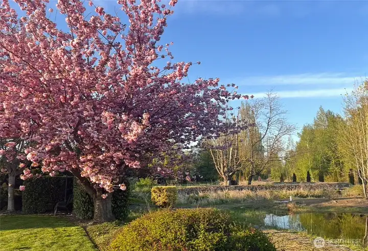 Beautiful spring colors and the pond is visible.