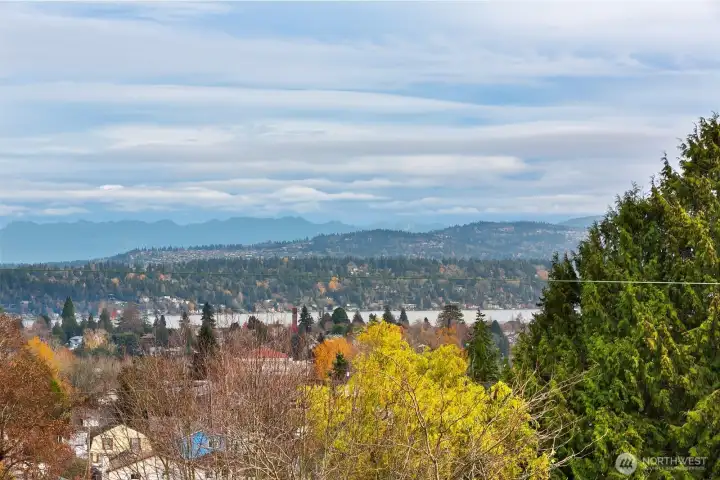 This view from the rooftop is easternly but a little more to the south.