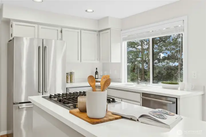 Lookout over the backyard from the kitchen sink window.