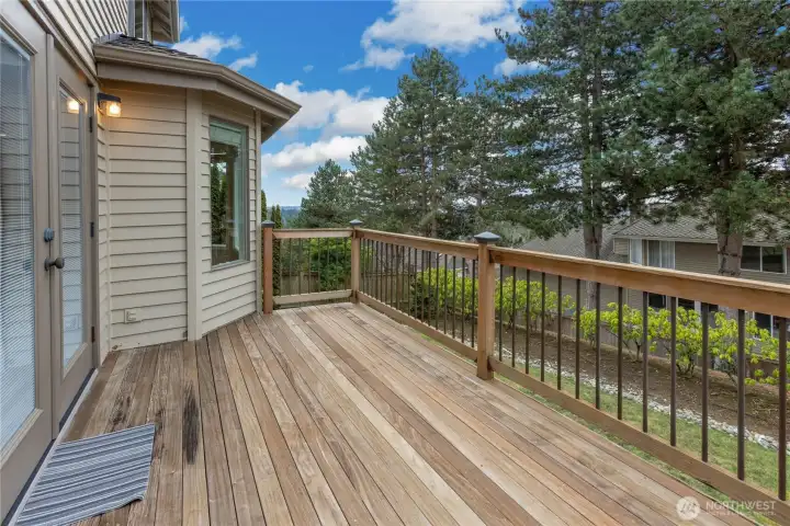 Freshly cleaned Ironwood Deck