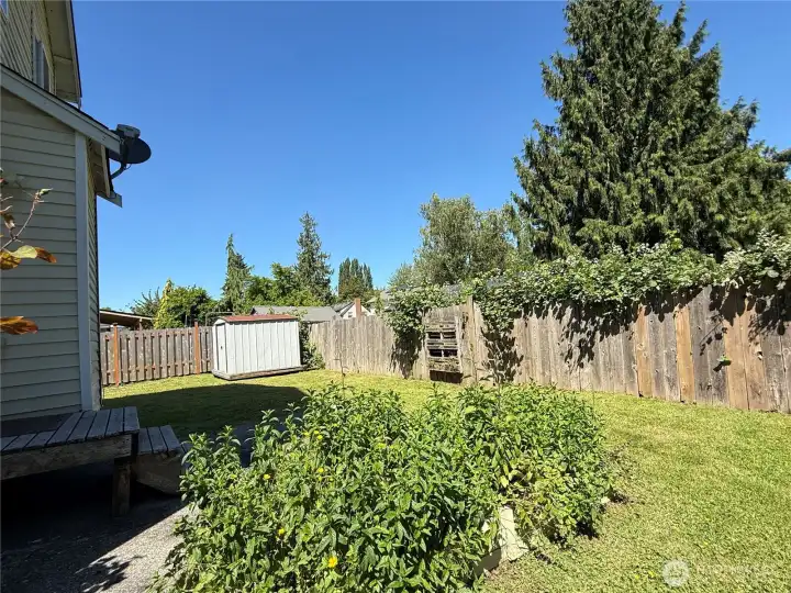 Nice lush fenced backyard!