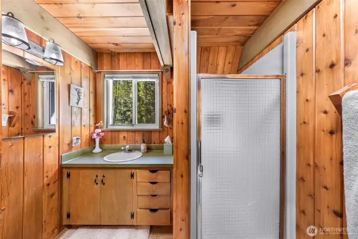 Bathroom on the main level (with toilet, not shown)