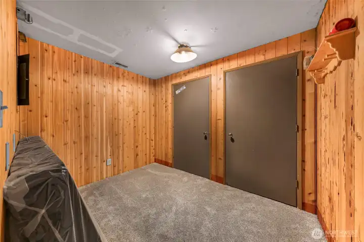 Lower level bedroom