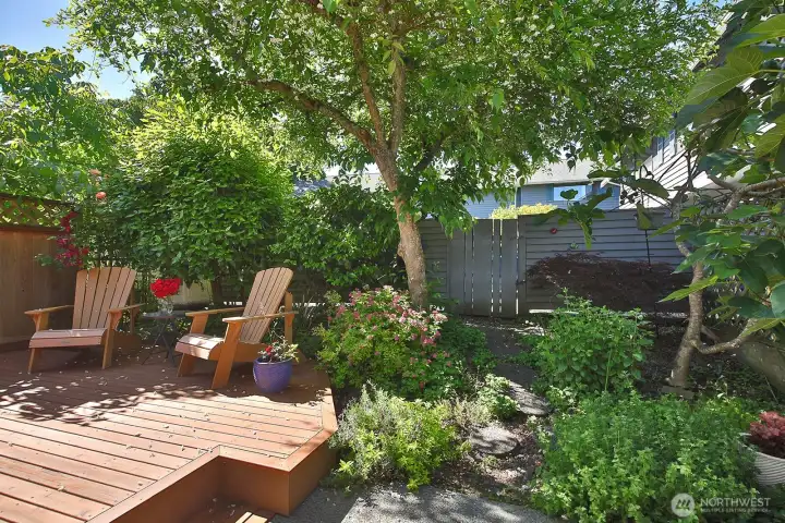 Your view as you step outside the French doors. You are standing on the patio, the gate ahead leads to the parking area for the other units (and is where the two E/V car chargers live). The fig tree is along the right edge of this photo.