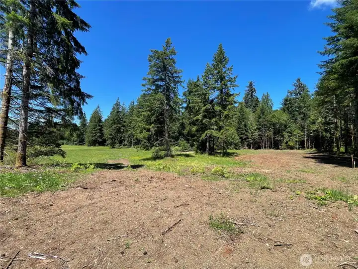 Looking at the level back portion of the property.