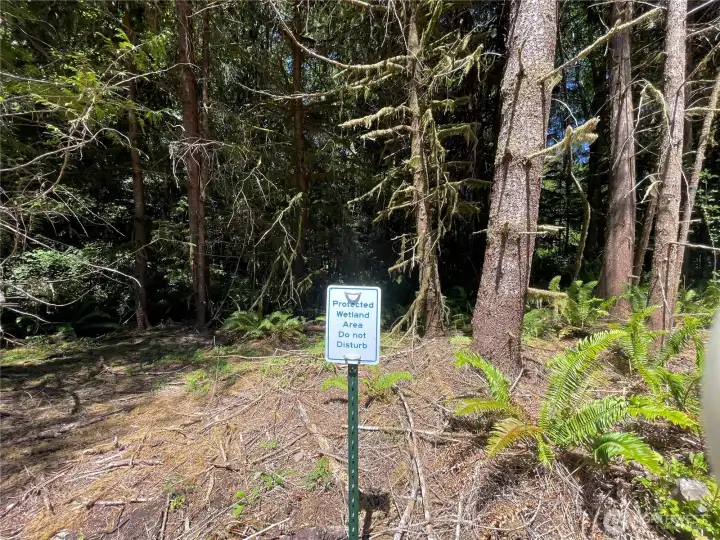 Backing up to a protected area.