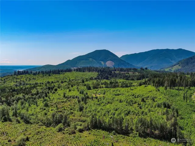 You can see the small cabin in the foreground and the main home in the distance.  N property line is in the foreground and Mt Walker in the distance.