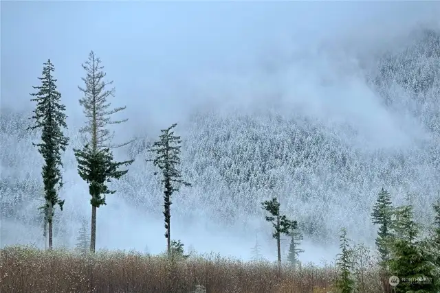 Everchanging snow level in the winter on the Olympic foothills.