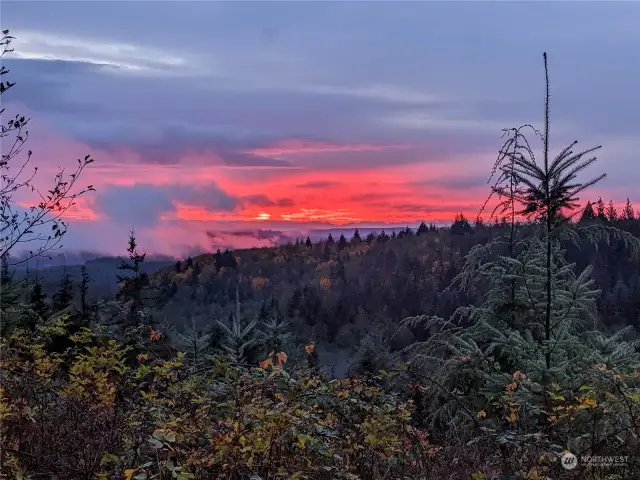 Amazing sunrises from the site. This photo taken at the Eastern edge of the property. Another one of the potential home sites.