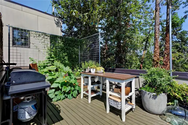 Rooftop deck with views!