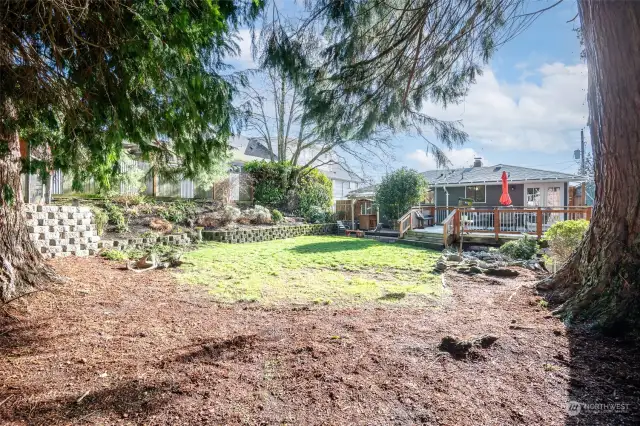 Gorgeous redwood trees edge the yard