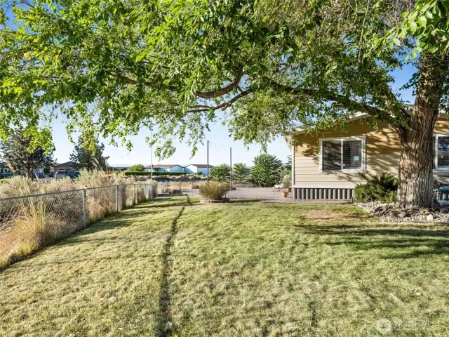 Front yard.