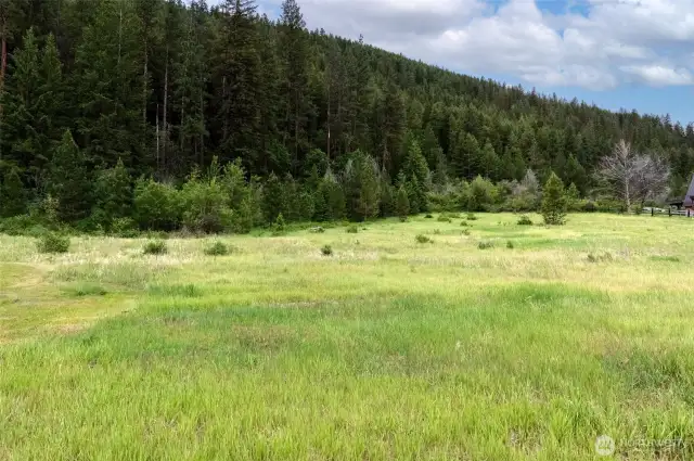 The forested hillside provides a scenic backdrop to your future homesite.