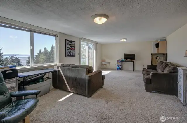 Lower level family room, cont