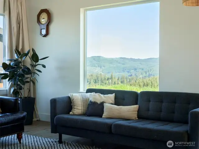 View from the living room: GORGEOUS!
