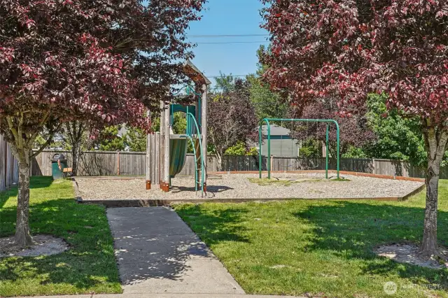 Community Park