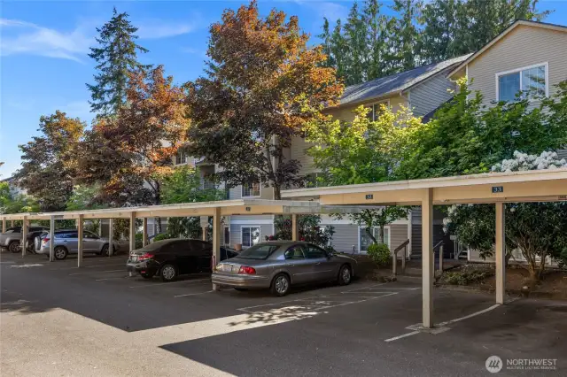 Welcome to this 3-bedroom/2 full bathroom, ground floor end unit with updates in the most quiet and private location at the Camlyn Condominium community. Building "B" is located at the back northwest corner with no drive through traffic and away from the arterials.