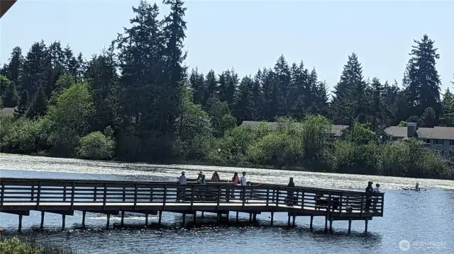 Silver Lake is a 104 Acre Lake is maintained by the City of Everett. They do allow motorized or electric boats up to 8 mph.