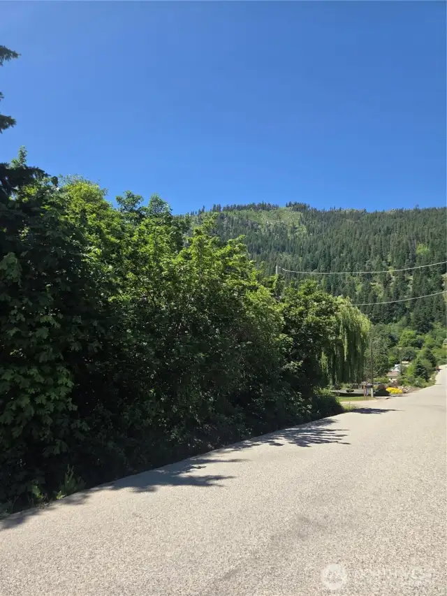 Trees line the edge of Ranger Road on the north side of the property. Wonderful privacy and area boundary.