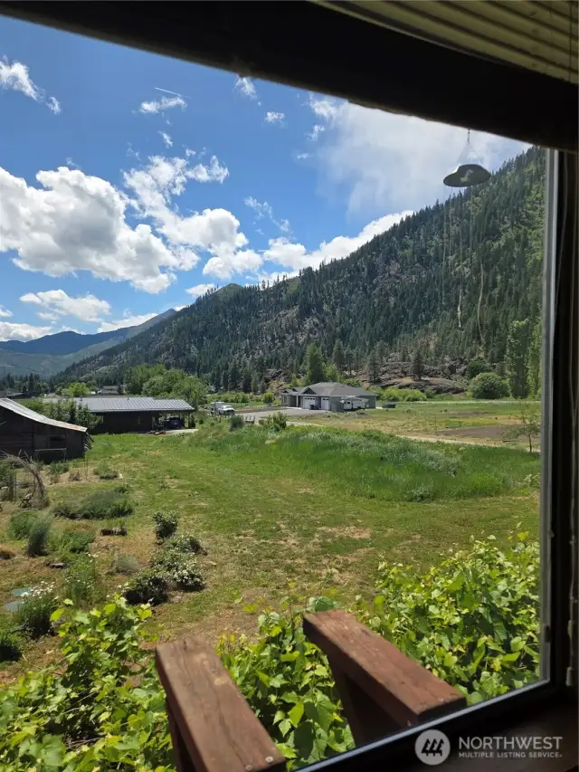 View from upstairs windows.