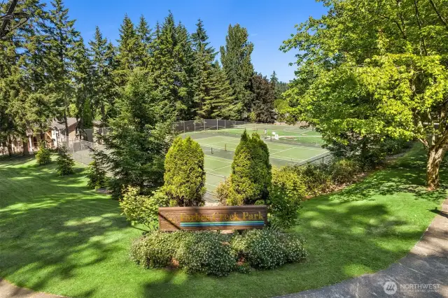 Fantastic double tennis courts for the perfect game!