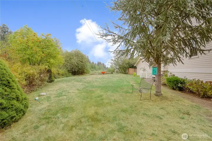 Backyard 2