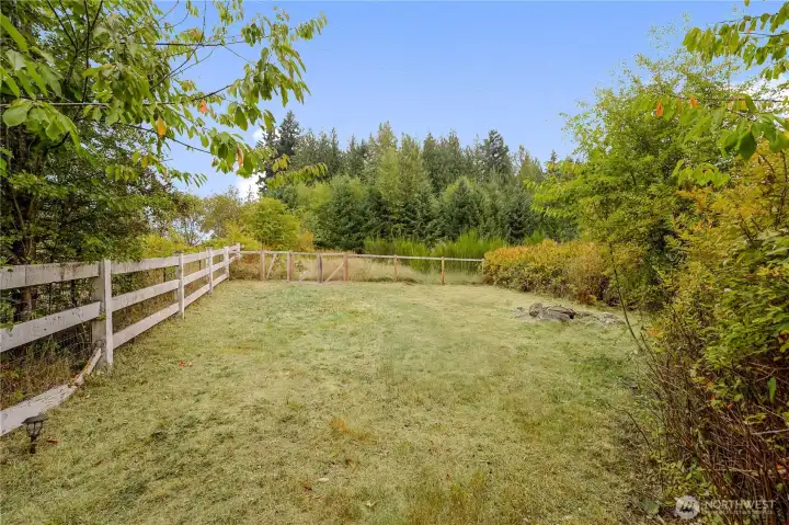 Part of the back/side yard