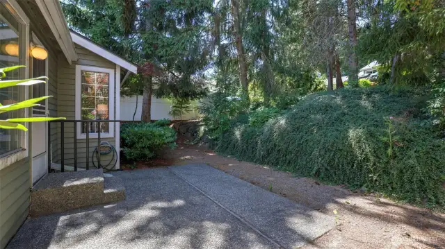 A different view of the backyard.