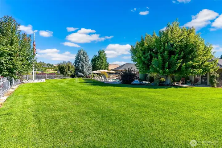 Side Yard