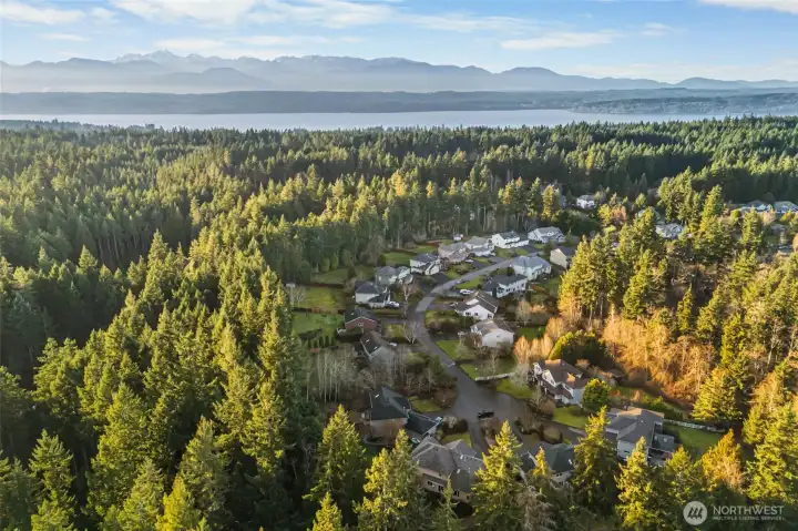 Aerial view of a quiet, wooded neighborhood setting. Come tour today!