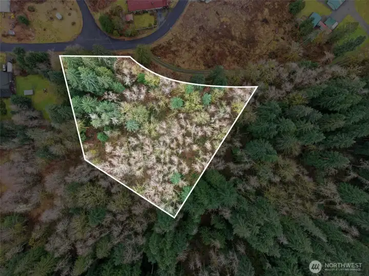 White lines are approximate.