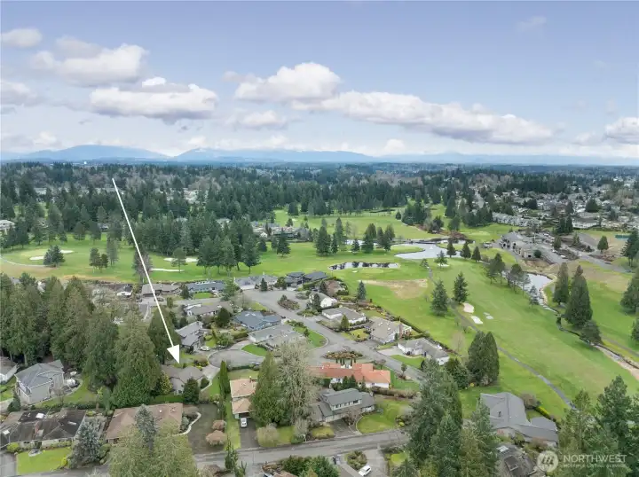 So close to the course!