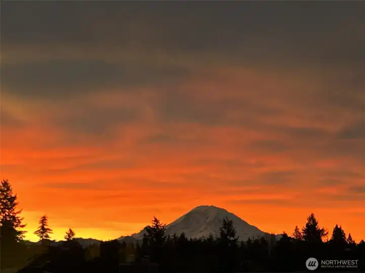 Mount Rainier From the Living Room!