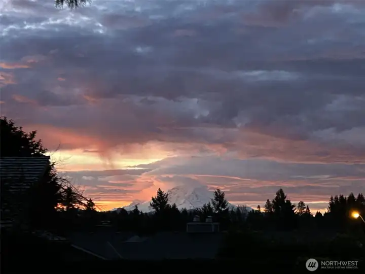 Views from living room and primary suite