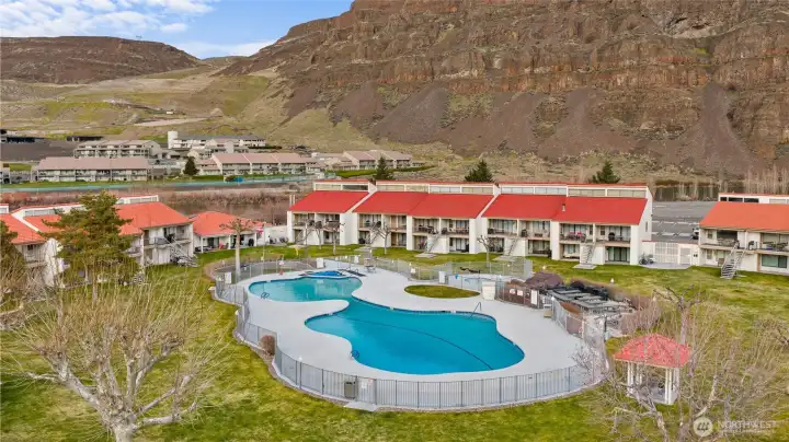 Large pool and grassy area for pets and play!