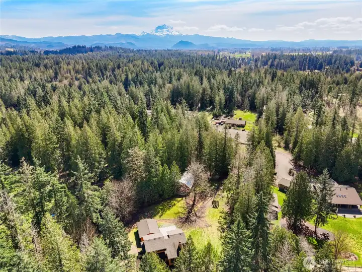 From five acres in Enumclaw, Mt. Rainier isn't just "at the horizon"—it usually feels like it’s in your backyard.