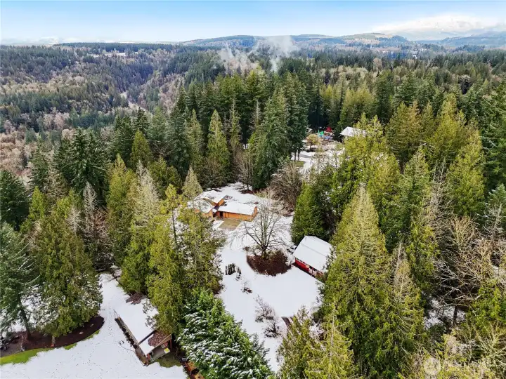The pristine white landscape perfectly frames the massive silhouette of Mt. Rainier.
