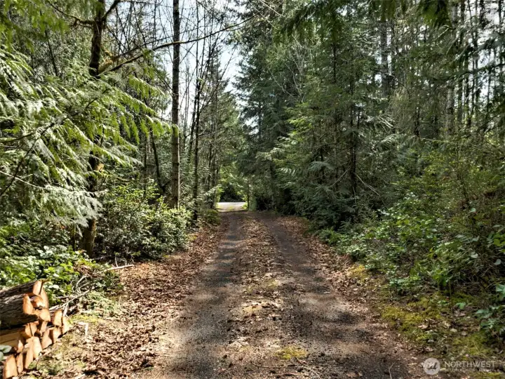 This drive in to the house is really serene. You can feel the stress melting away.