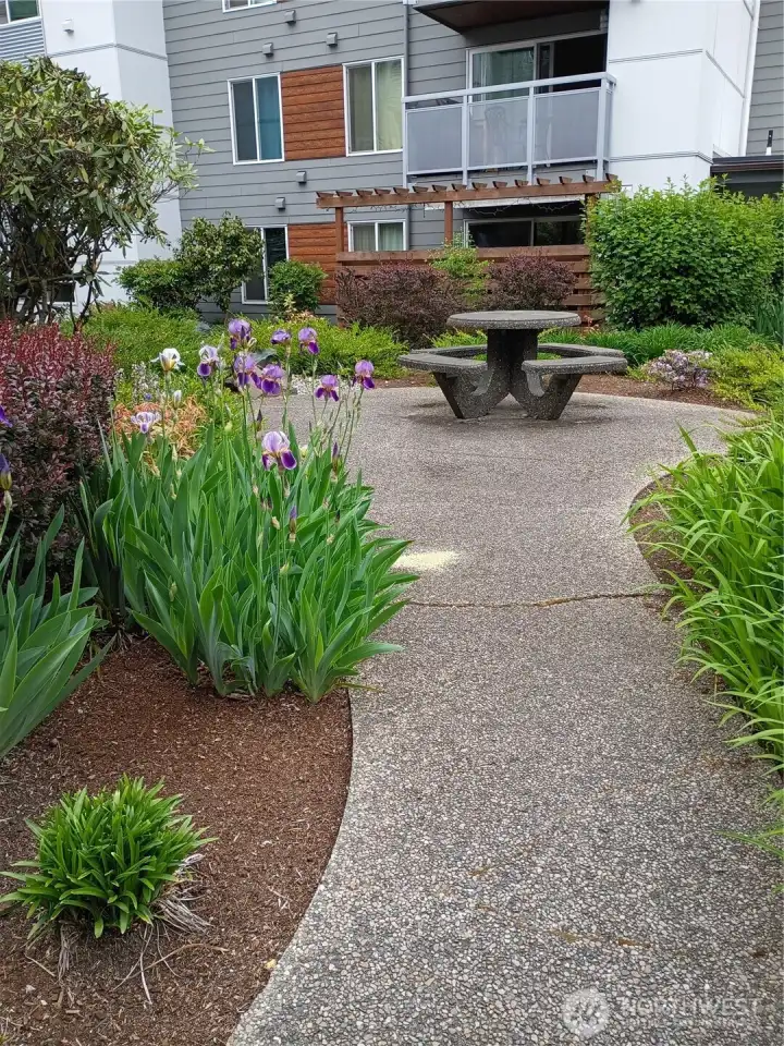 Garden Courtyard