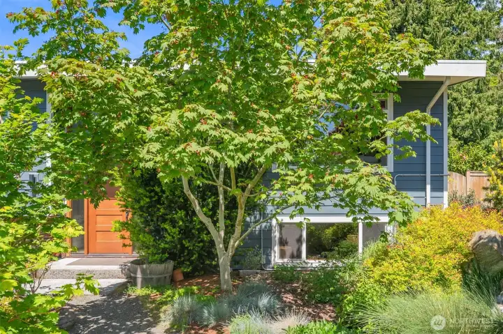 Professionally landscaped grounds with frit trees and rain garden Professionally landscaped grounds with frit trees and rain garden