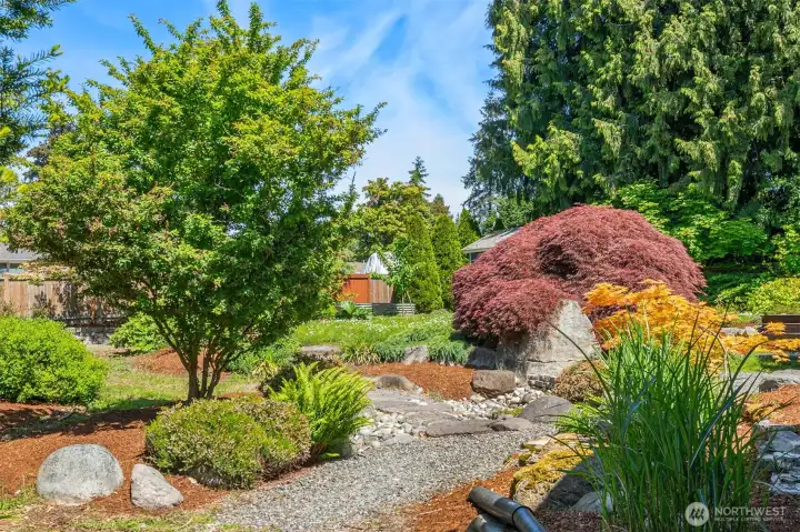 Back yard, garden space Back yard, garden space