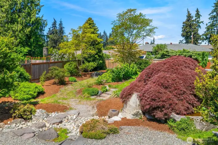 Professionally landscaped back yard Professionally landscaped back yard
