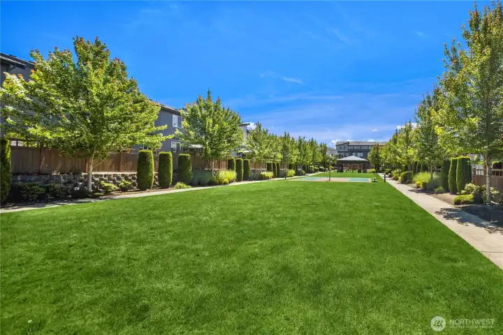 Common Grassy area