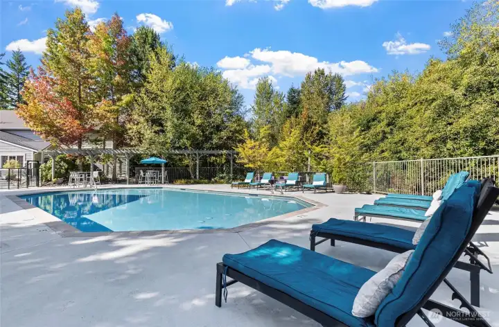Community Outdoor Pool Community Outdoor Pool
