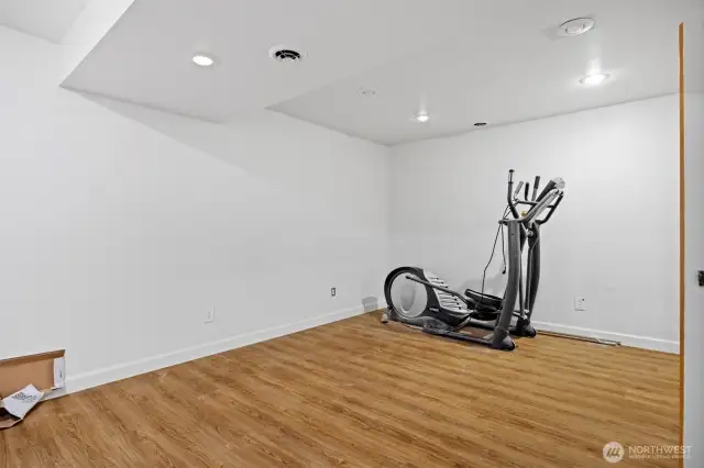 Downstairs bonus living space.