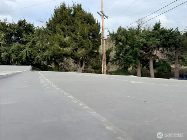 2-year old roof