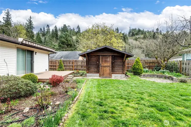 Log Cabin/Chicken Coop
