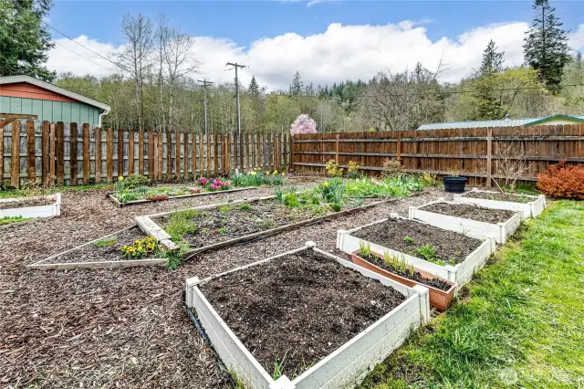 Raised Garden Beds